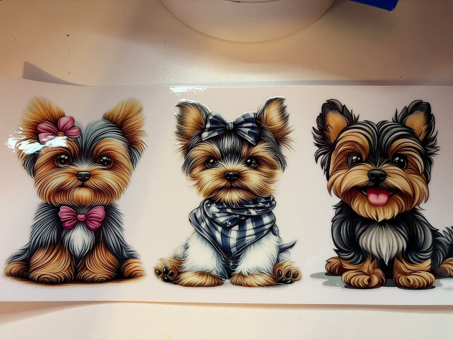 Pink bow and Checked Bandana Puppy Wrap