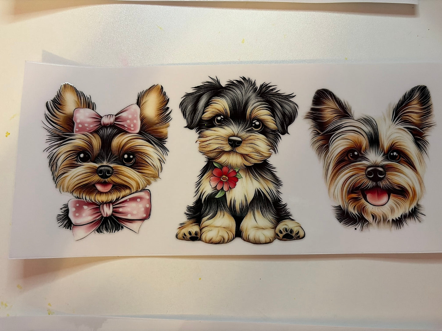 3 Puppies 1 Sitting and 2 Faces