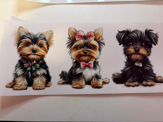 3 Sitting Puppies Wrap