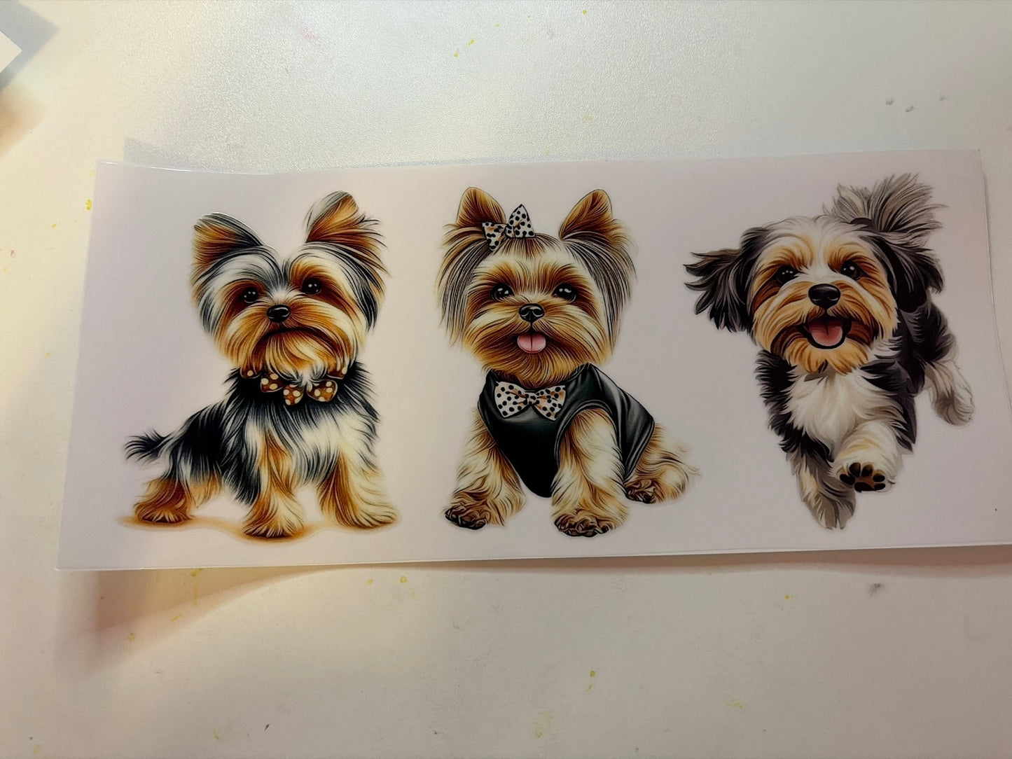 3 Puppy Wrap